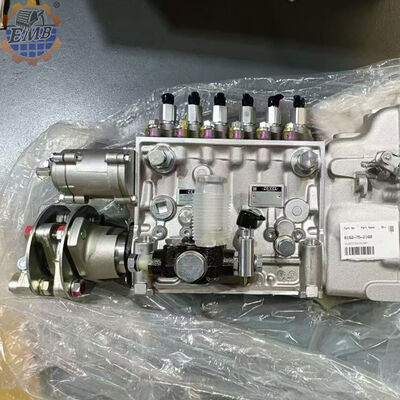 6162-75-2160 Diesel Engine Fuel Injection Pump 106682-9551 PC1250-7 SA6D170E-2A Fuel Pump